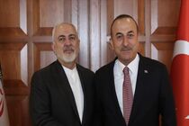 ظریف با همتای ترکیه ای خود دیدار کرد