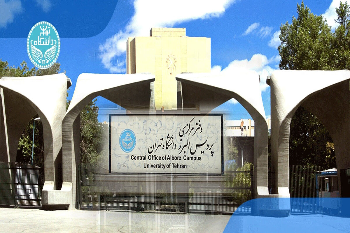 دانشگاه