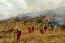 برگزاری چهارمین پویش «نجات طبیعت» در شیراز/کاهش ۴۶ درصدی حریق در باغات و ارتفاعات