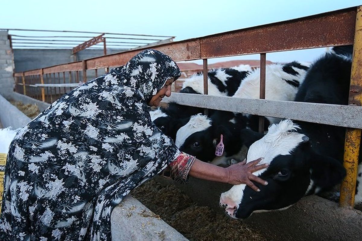 اشتغال روستایی