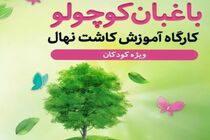 کارگاه آموزشی کاشت نهال ویژه کودکان در شهر یزد برگزار شد