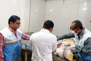 کشف و ضبط پنج تن گوشت قرمز و گوشت مرغ از یک سردخانه غیرمجاز درحاشیه شهرزاهدان 