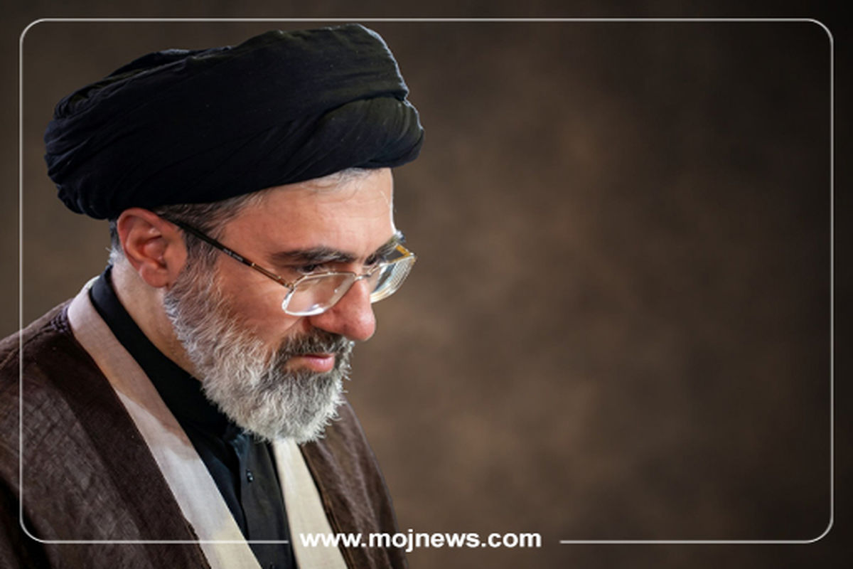 کاور اینفو2 copy