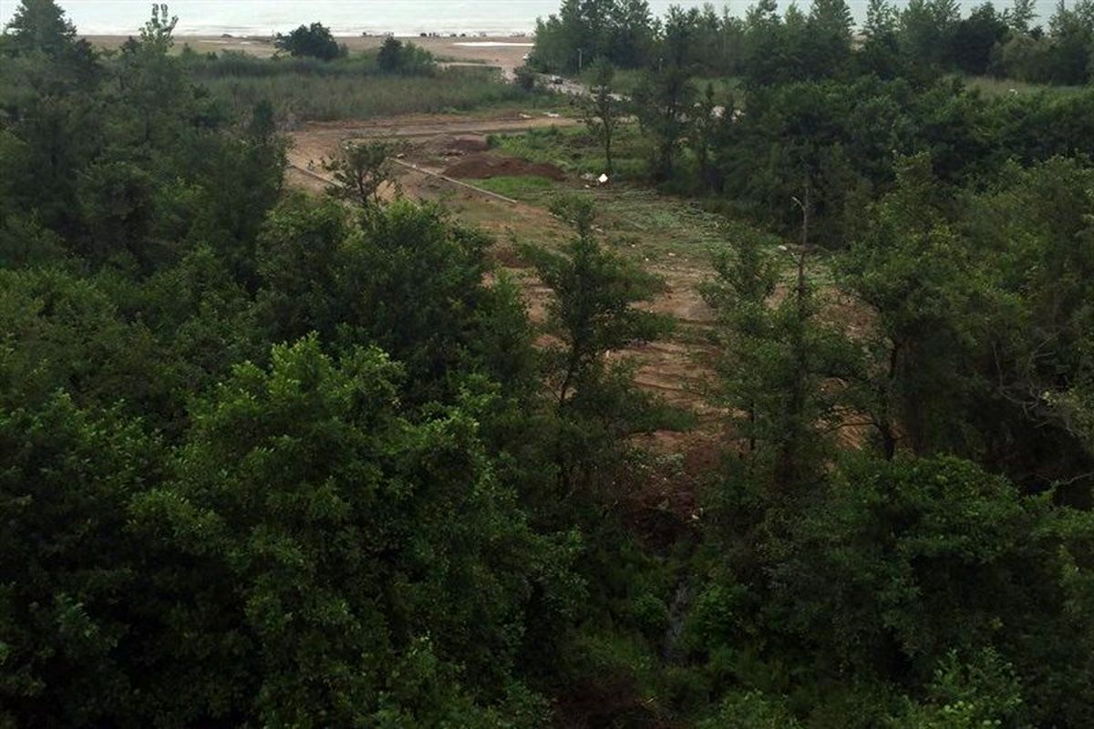 فرمانده یگان حفاظت منابع طبیعی گلستان