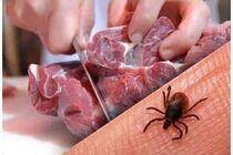 شناسایی ابتلای سه مورد تب کریمه کنگو در هرمزگان