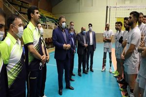 تیم داری در رشته های مختلف ورزشی 