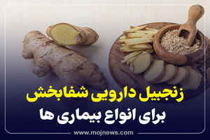 اینفوگرافیک/خواص زنجبیل