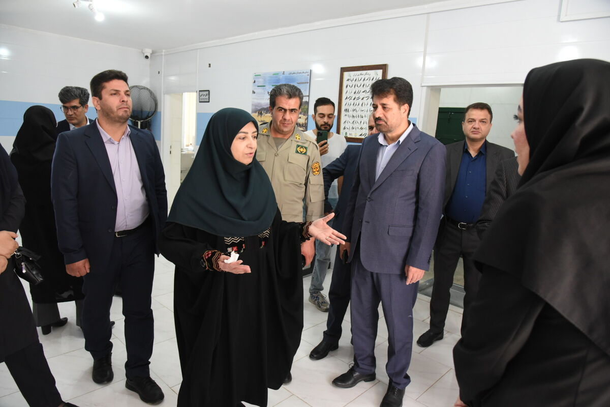 بازدید 