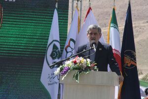 شهروندان قطع شدن درختان در شیراز را اطلاع‌رسانی کنند