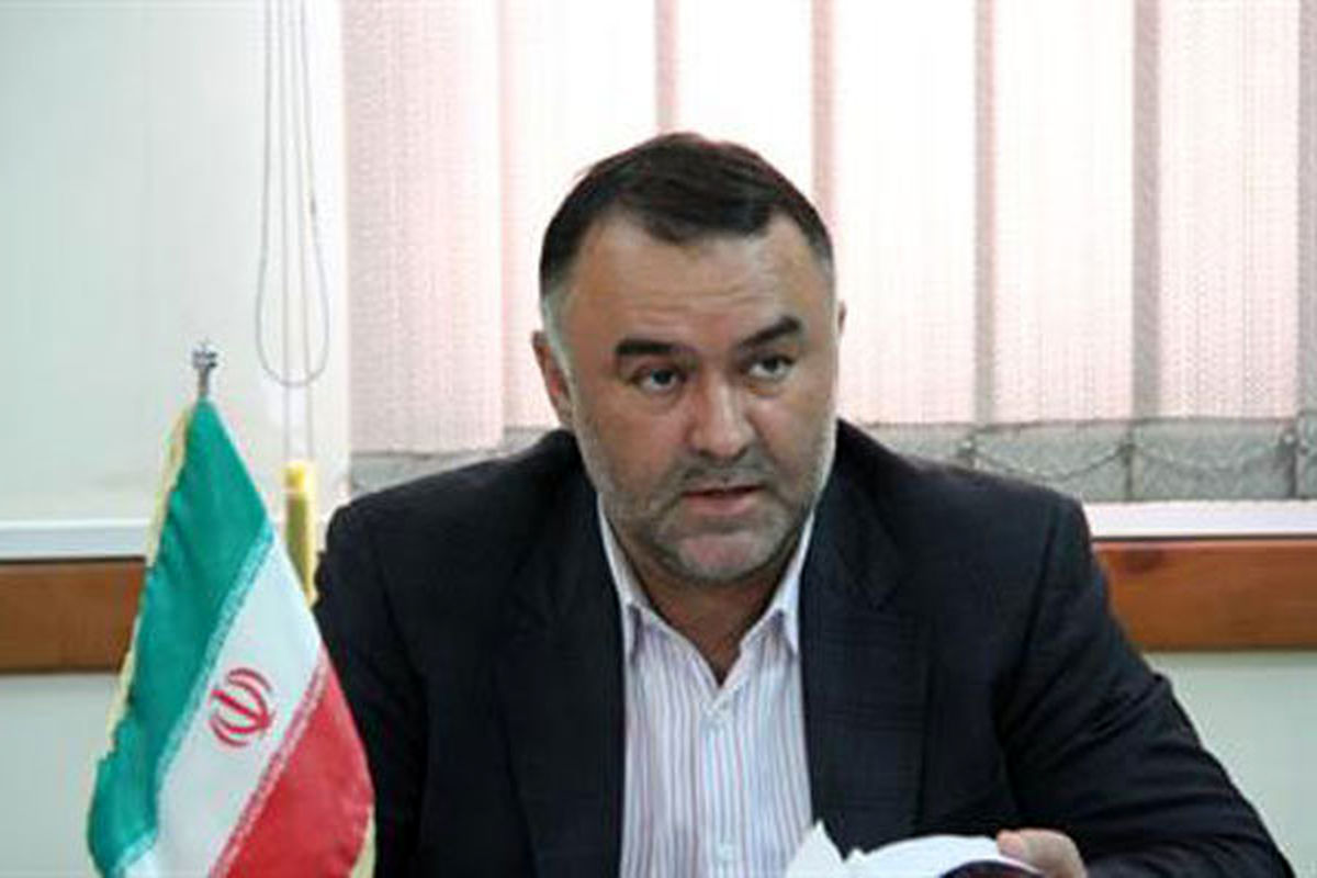 سید حسن رضوی