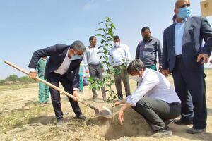 پویش درختکاری با هدف ترویج فرهنگ گسترش فضای سبز