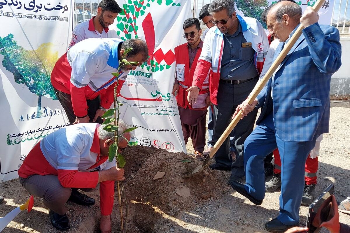 کاشت نهال