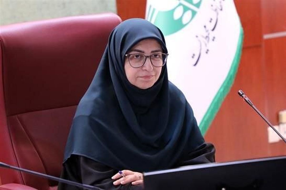 شینا انصاری