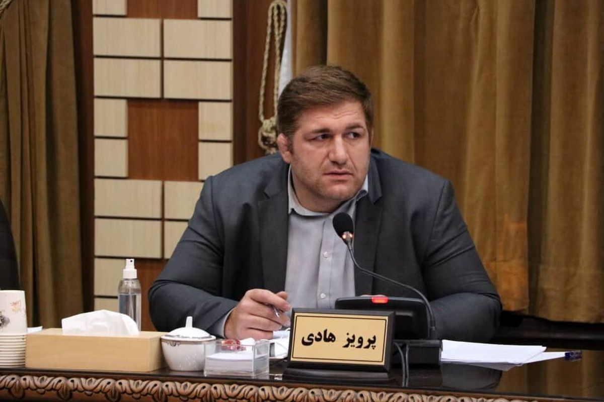 پرویز هادی