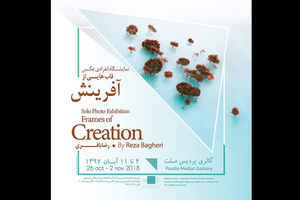 نمایشگاه عکس قاب‌هایی از آفرینش در گالری پردیس ملت افتتاح می‌شود
