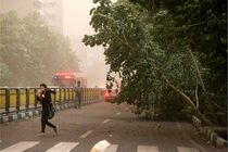 وزش باد شدید نقاط مختلف کشور را در بر می‌گیرد