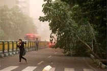 هواشناسی تهران افزایش نسبی دما و وزش باد شدید را پیش‌بینی کرد