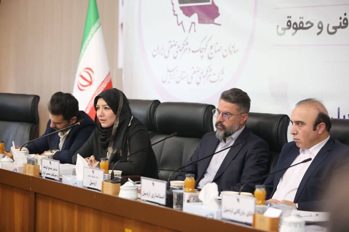 مدیر نظارت بر شهرک‌های صنعتی غیردولتی و شرکت‌های خدماتی سازمان صنایع کوچک و شهرک‌های صنعتی ایران