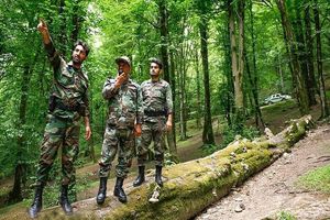 برخورد قاطع منابع طبیعی مازندران با باندهای قاچاق چوب و پلمب کارگاه‌ها در تهران