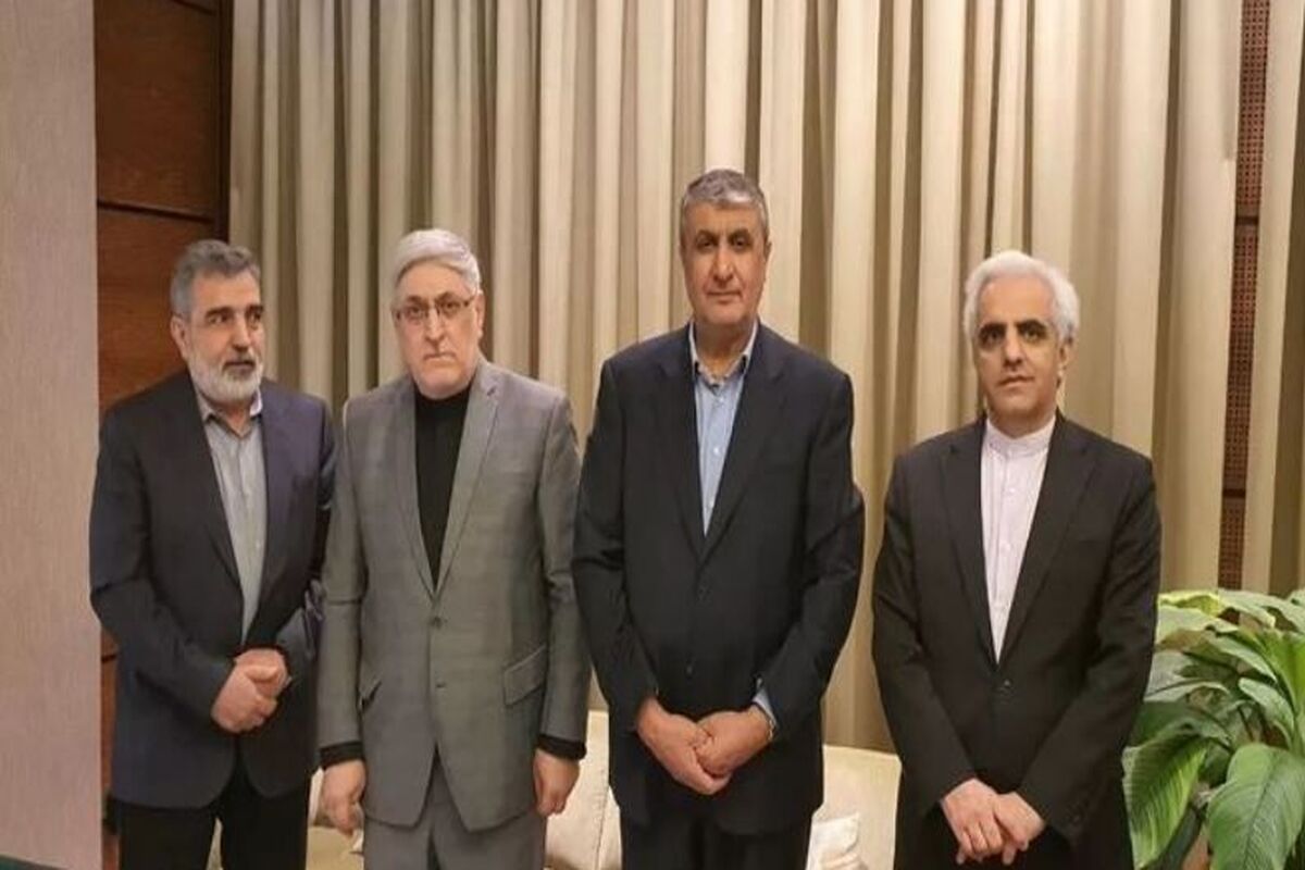 رئیس سازمان انرژی اتمی