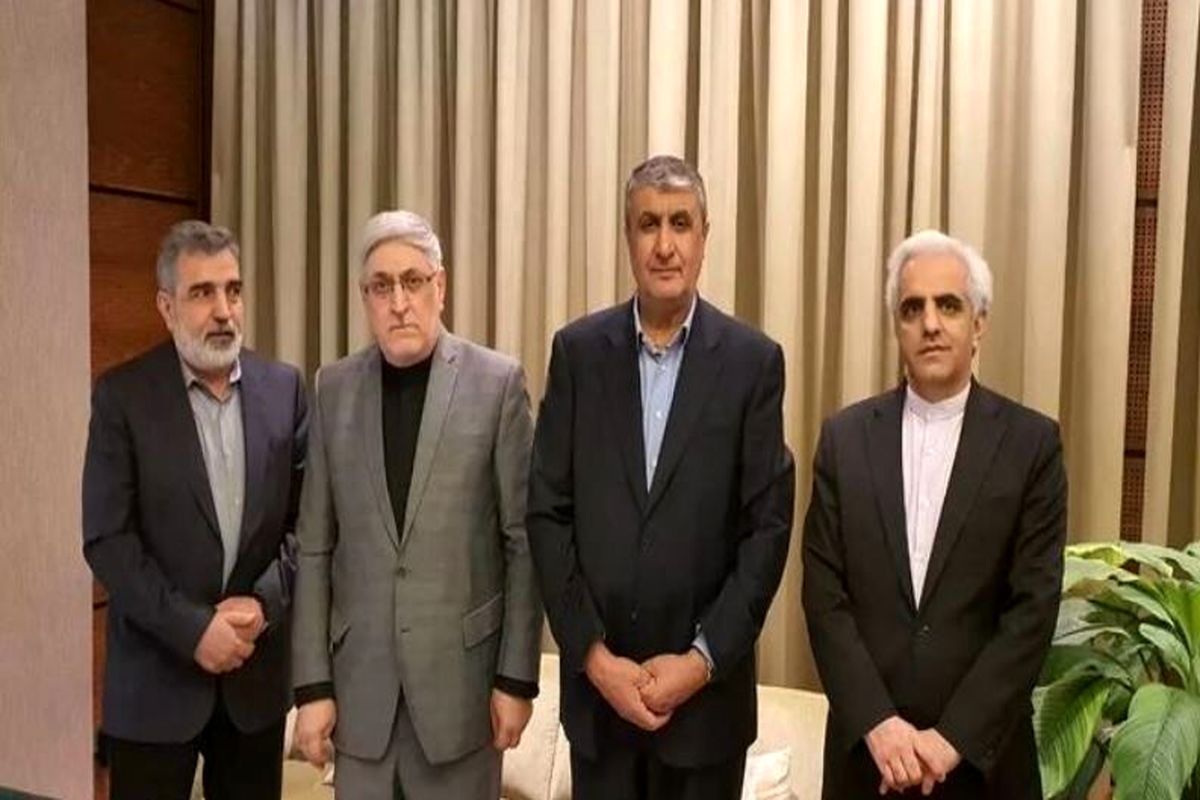 رئیس سازمان انرژی اتمی