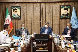 میزان قابل توجهی از بودجه سلامت کشور در زمینه درمان مصدومان تصادفات هزینه می شود

