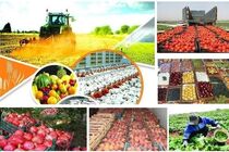 برنامه‌های دولت برای تامین به موقع کالاهای اساسی و نهاده‌های دامی
