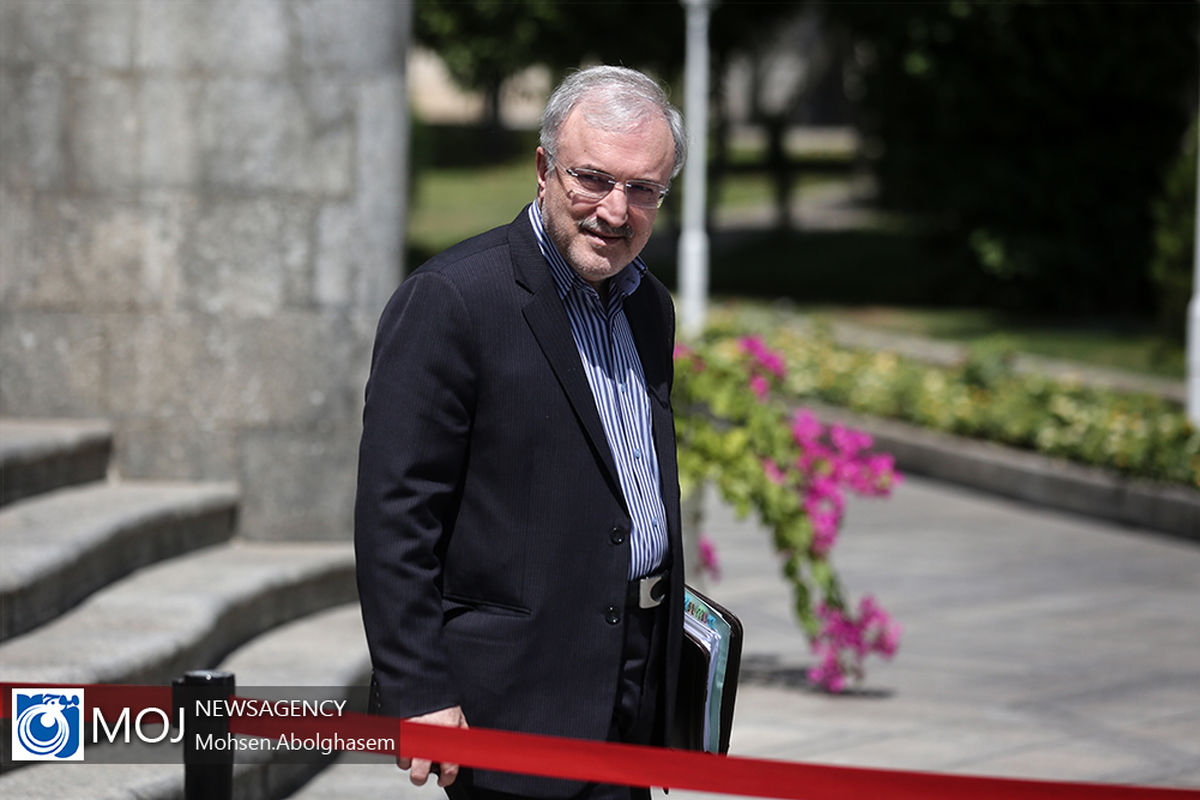 حاشیه جلسه هیات دولت - ۲ مرداد ۱۳۹۸/ سعید نمکی