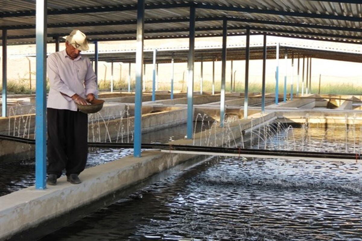 ماهی خاویاری در هرمزگان