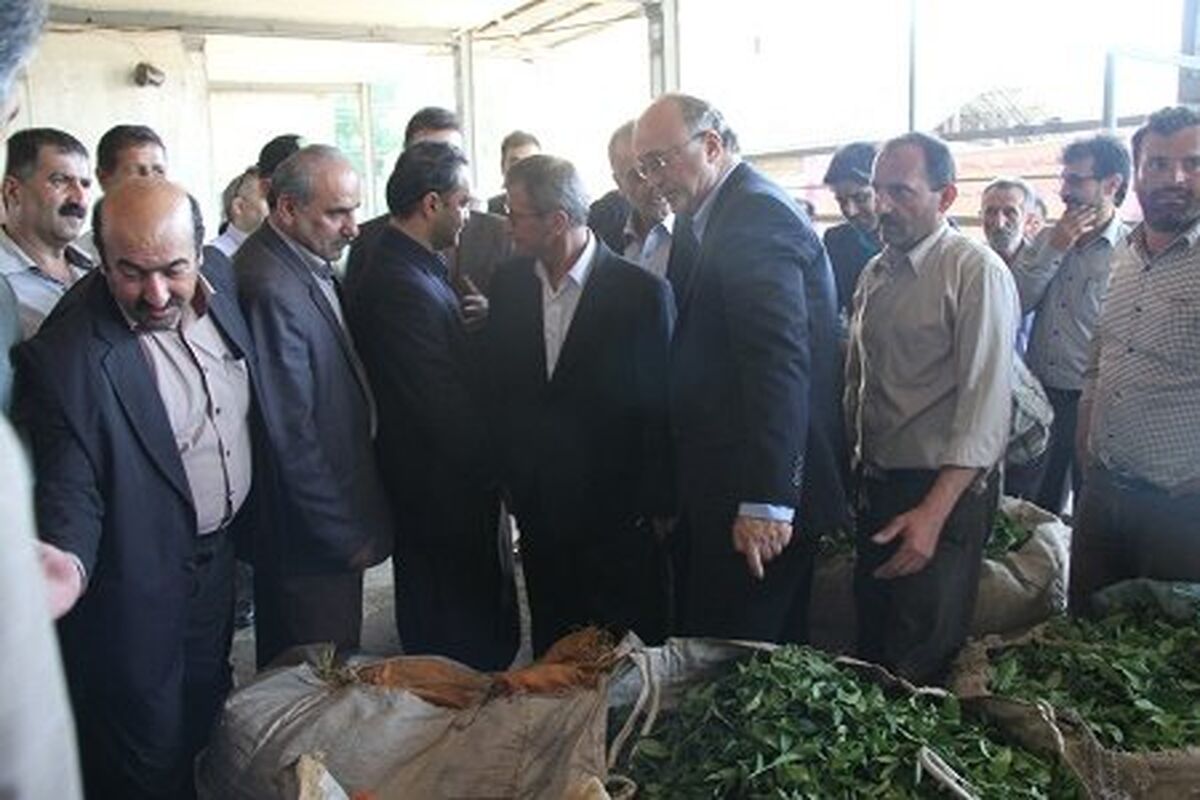 چایکاران