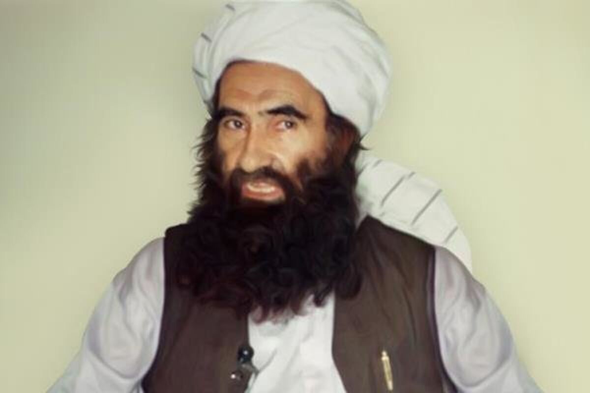 حقانی