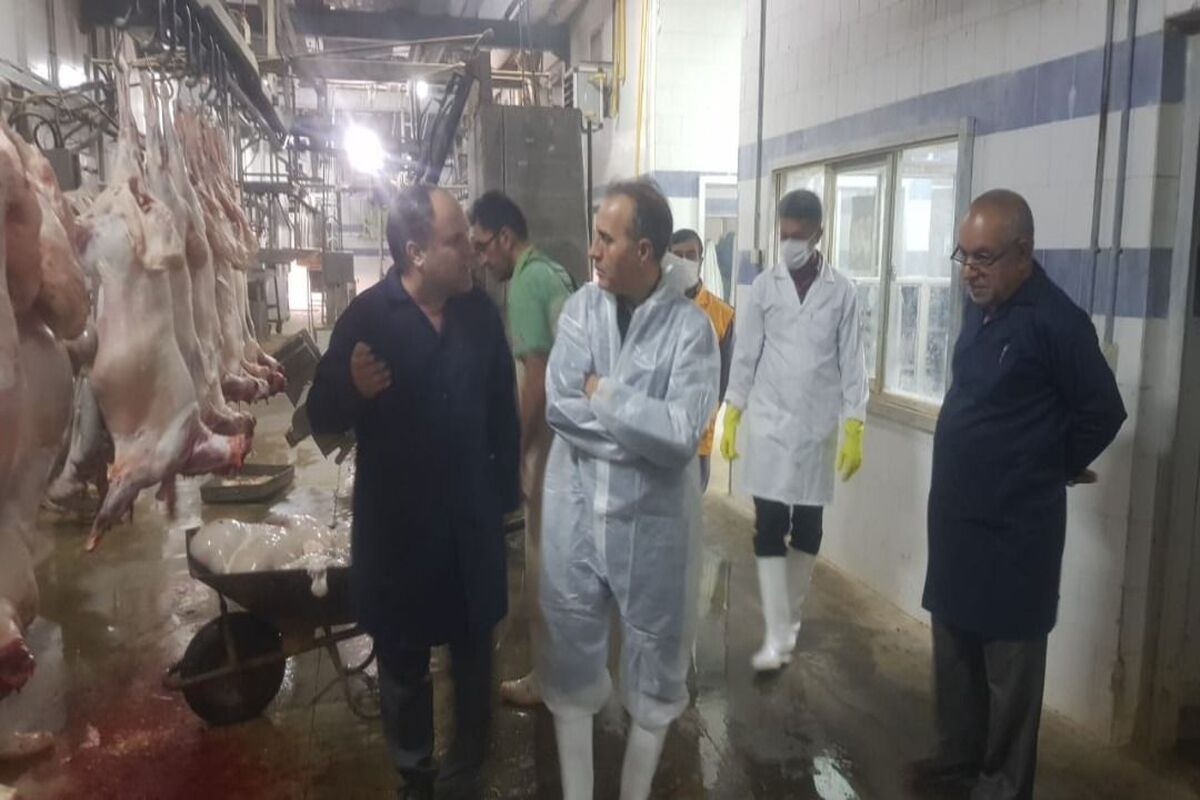 دامپزشکی ایلام