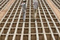 تاخیر در تصمیم‌گیری  آرامستان پایتخت می‌تواند به بحران‌های پرهزینه منجر شود
