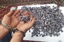 دستگیری فروشنده مواد مخدر در  شهر برزک