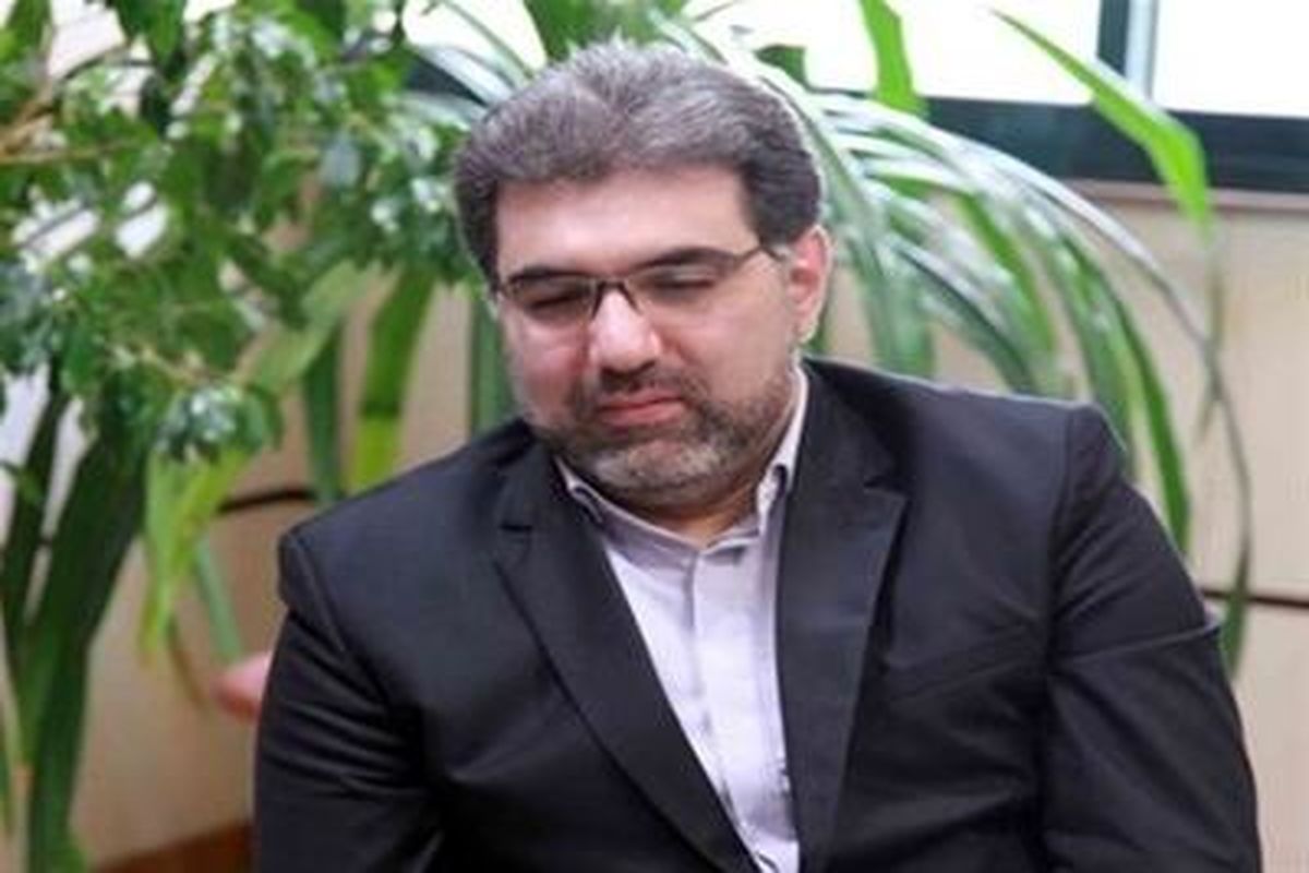 رئیس پژوهشکده سوانح طبیعی 