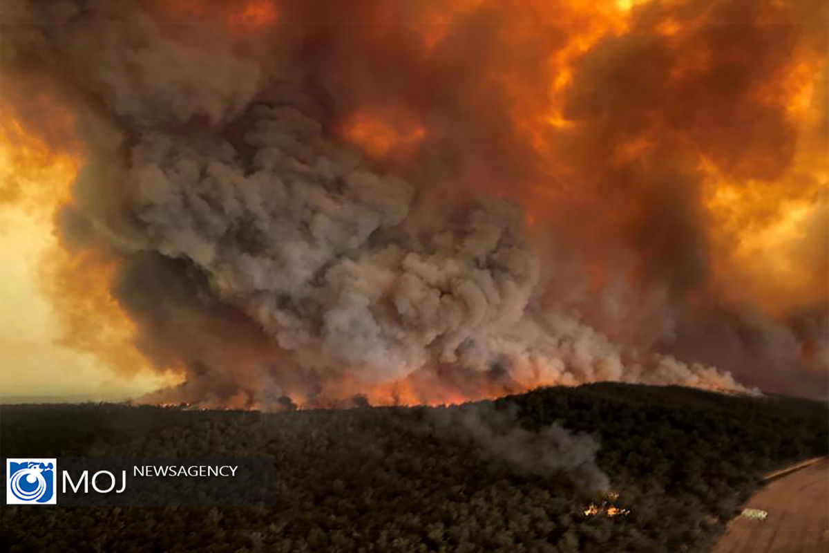 آتش سوزی در جنگل های استرالیا