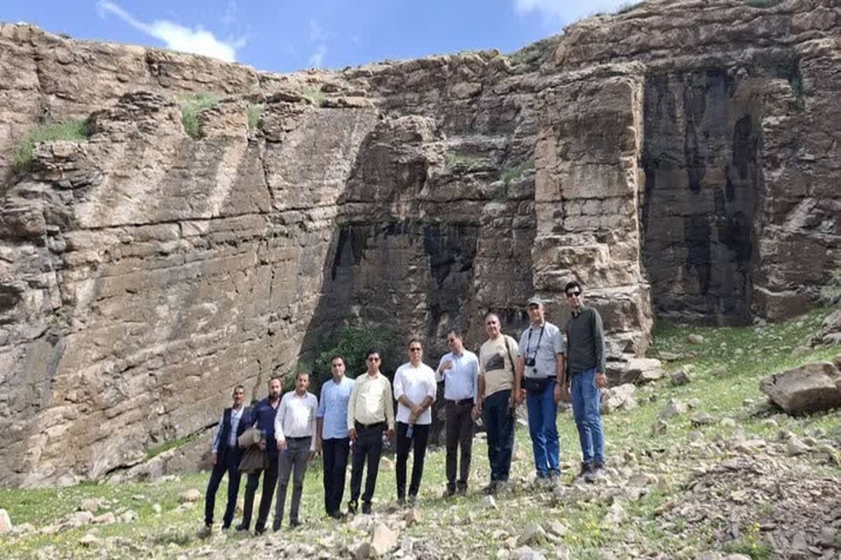 شریفی