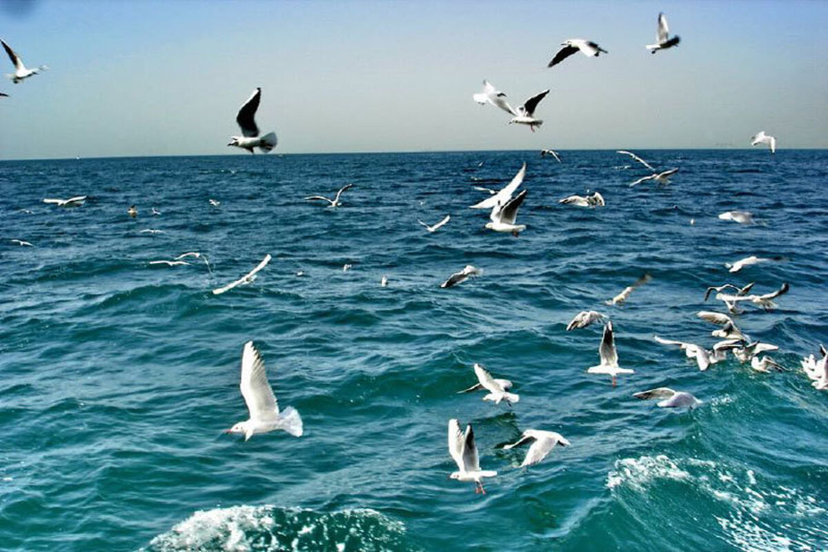 وضعیت جوی