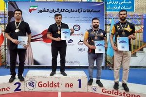 نفرات برتر  مسابقات آزاد دارت کارگران کشور مشخص شدند