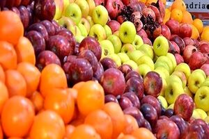 آغاز توزیع میوه شب عید طرح تنظیم بازار در فارس