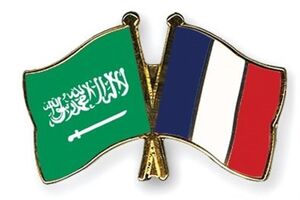 ایده «تشکیل کشور فلسطین» راهکاری برای حذف جریان مقاومت 