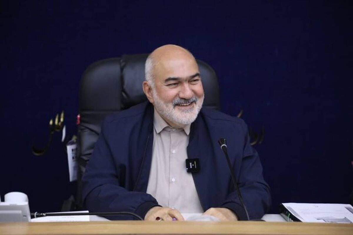 سیدمحمدرضا موالی‌زاده 