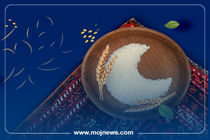 اینفوگرافیک/مبلغ فطریه سال ۱۴۰۴ از نظر هر مرجع تقلید چقدر است؟