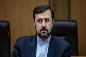 غریب‌آبادی از ناکامی یازدهمین کنفرانس بازنگری NPT روایت کرد