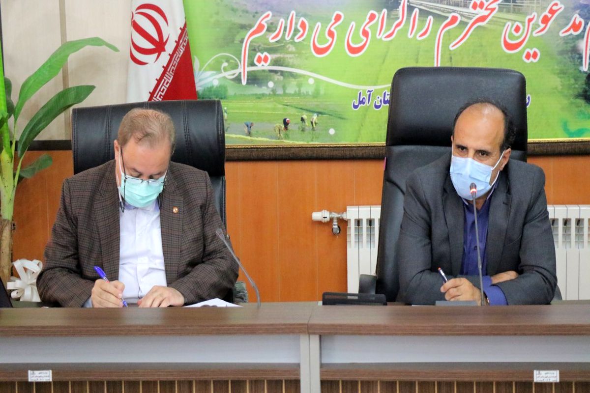 فرماندار آمل