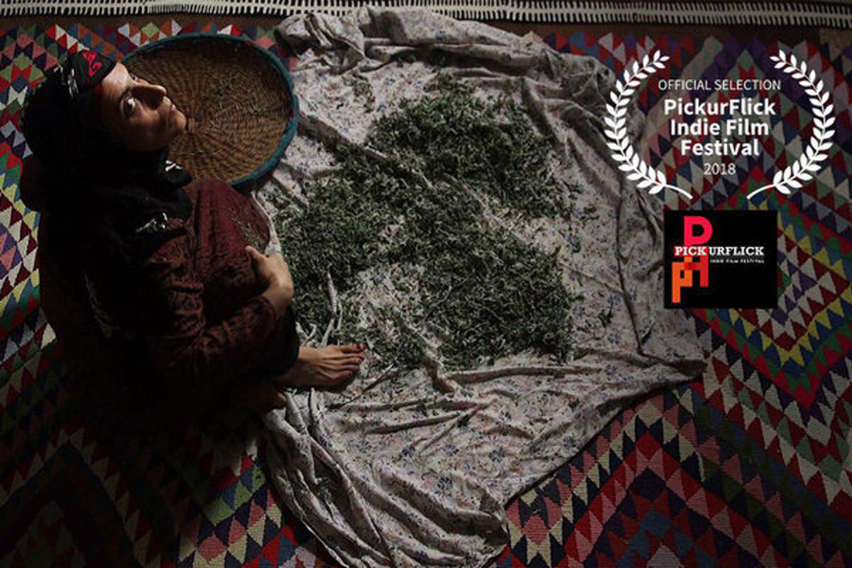 فیلم کوتاه فروزان