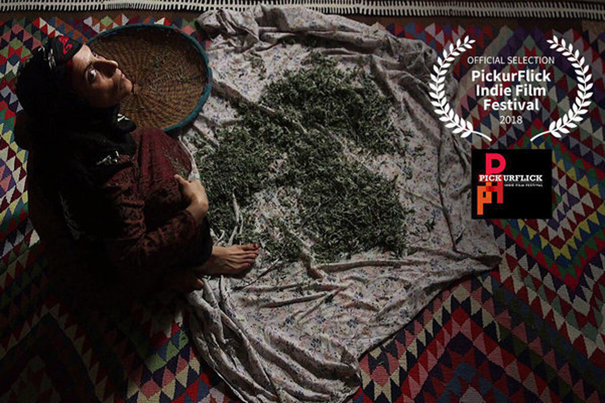 فیلم کوتاه فروزان