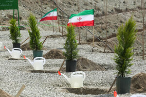 تلاش همگانی برای محکم‌تر شدن کمربند سبز بندرعباس