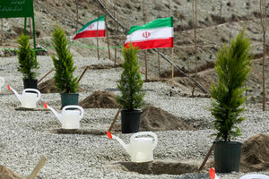 تلاش همگانی برای محکم‌تر شدن کمربند سبز بندرعباس