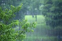 آسمان در اغلب مناطق کشور صاف خواهد بود